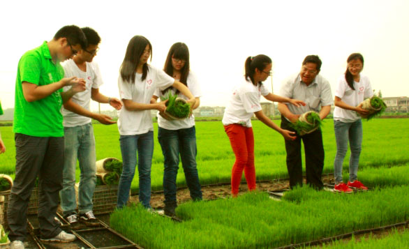 ꎎW(xu)ԺGɫۡ(sh)`(du)־ԸˮgM(jn)w(yn)ʽ