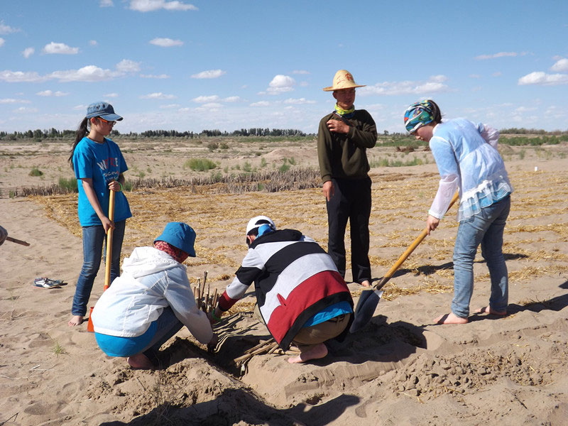 �@�N1.5��Ҋ(ji��n)�������ݸ��ӣ���ɳЧ����á����^(gu��)4��5���͕�(hu��)�L(f��ng)�g��������Ҫ�����a(b��)����