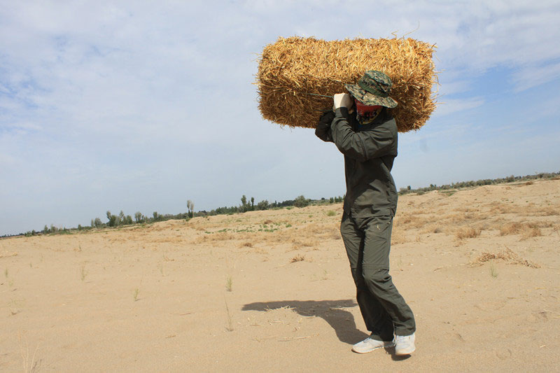 F(tun)Tiϳ؟(z)