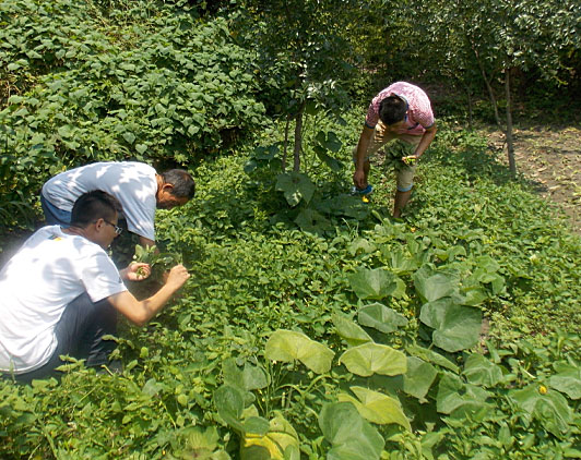 ڶ(du)T_(ki)ʼ(li)B(ti)r(nng)(chng)w(yn)r(nng)ժ