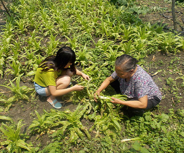 æ_yժĲ˲ϸժЧʵͣ(jng)^Ϥָ(do)ܿ(du)TM(jn)ˠB(ti)