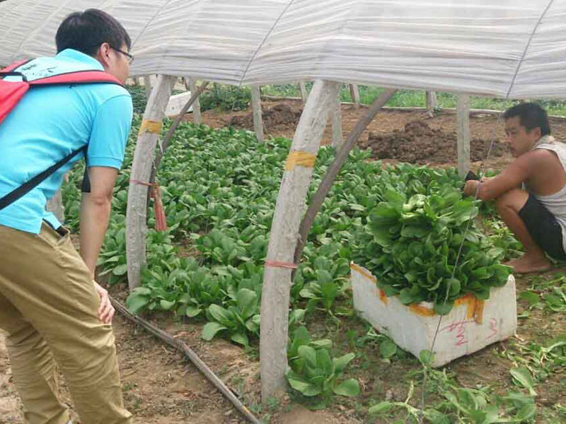 ��(sh��)�`�(du��)�T�c��(d��ng)?sh��)��r(n��ng)��e�O��ͨ������������}���˽��߲˴�������P(gu��n)��r��