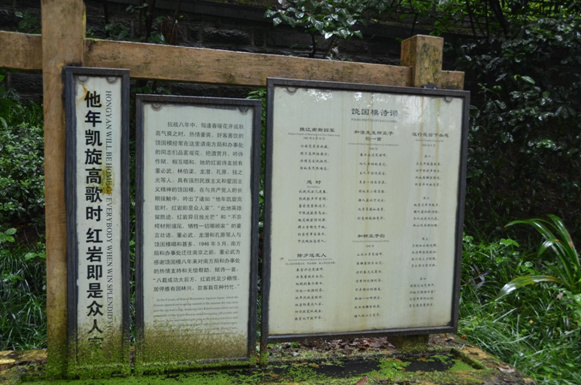 �D6 �ۇ�Ů��(sh��)�I(y��)������ģͬ־����Ԋ�~���ޝ�� �z��