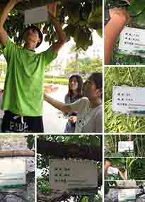 �K���r(n��ng)�W(xu��)Ժ�O(sh��)Ӌ(j��)У�@ֲ����Ƭ�������K�r(n��ng)�Gɫ���}