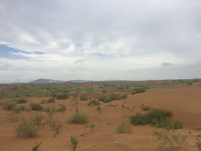 �v����ɳĮ�޾W(w��ng)������ݷ����ﲼ�M�[�d��ɳ��ֲ����