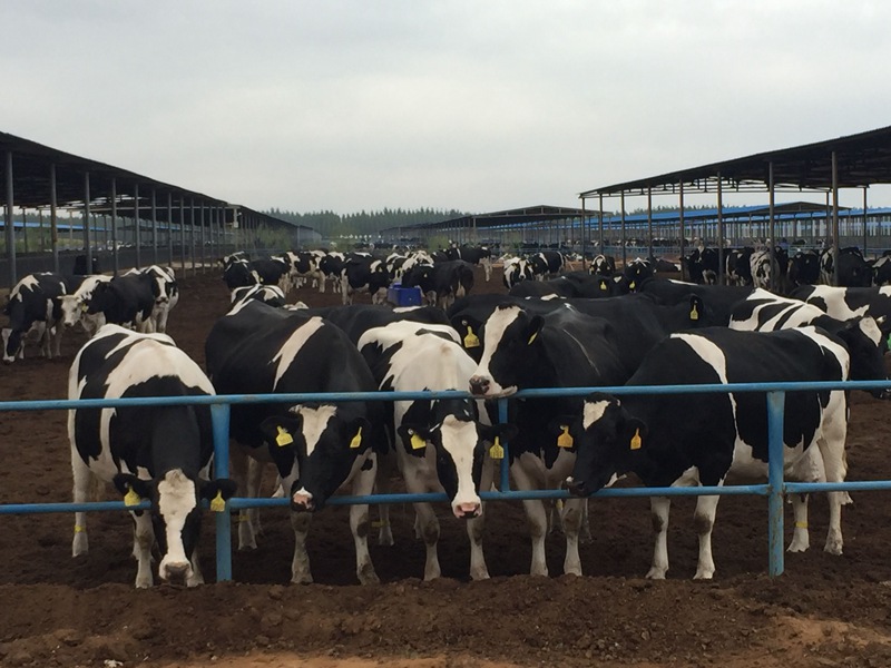 ���w��ɳĮ�ｨ�O(sh��)����ţ����