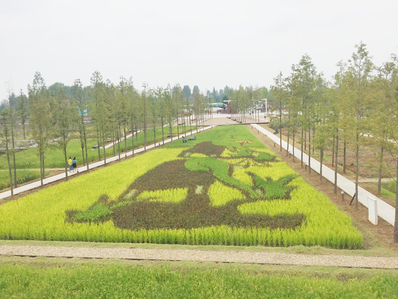 ������L�������������zӰ����־�ۣ�