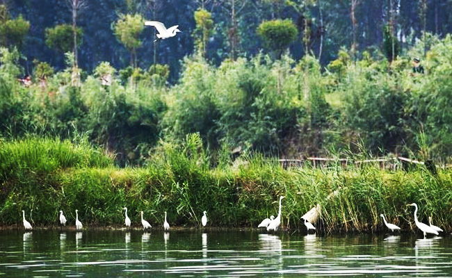 ͯԒ�ϼң���������Ԋ(sh��)�����Ϙ�(sh��)���f����