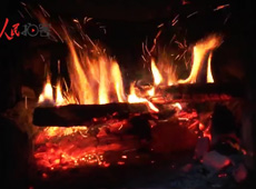 �t��t����~�ף�������ʳ���ρ�(l��i)