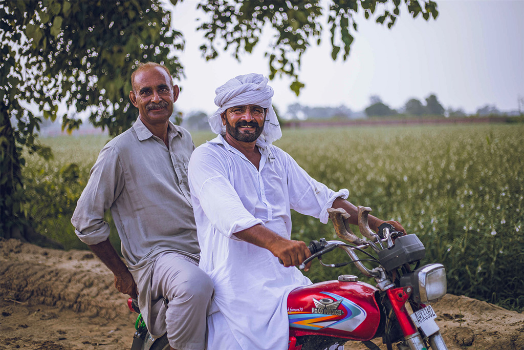 芝麻種植基地給當(dāng)?shù)厝藥砀嗑蜆I(yè)機(jī)會。（人民網(wǎng)記者 薛丹攝）