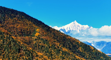 層林盡染 梅裡雪山與彩林共舞