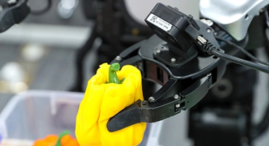 山東青島：人形機(jī)器人“實訓(xùn)”忙